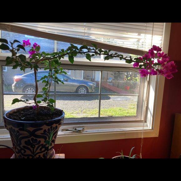 Porte-carte de travail bijou clip mignon - Picture 2 of 5